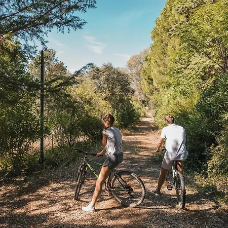 酒店 弗特圣塔酒店 莫佛帝霍