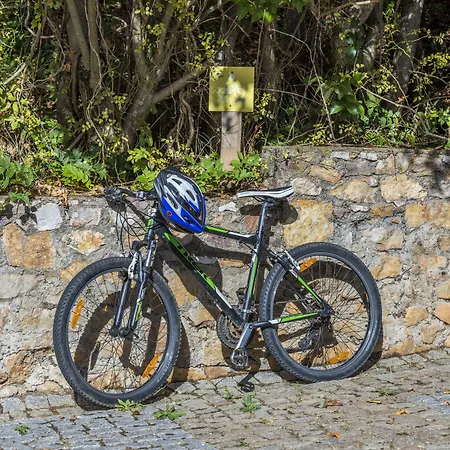 弗特圣塔酒店 酒店 4*