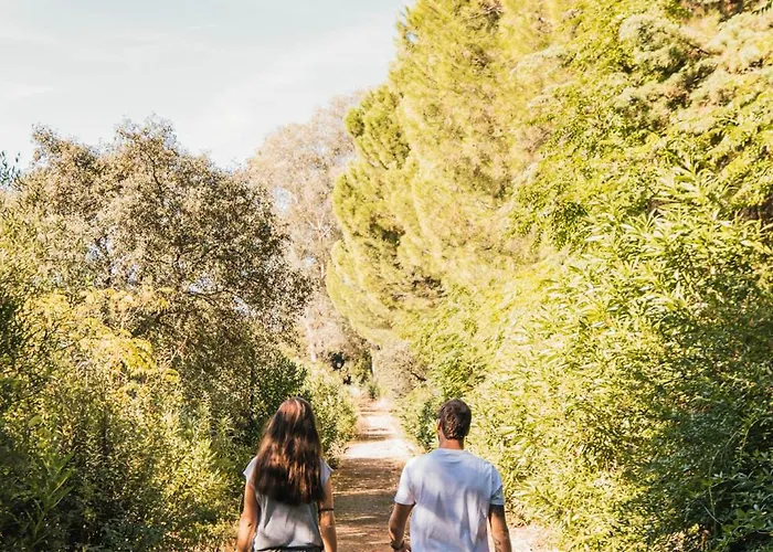 Fonte Santa Monfortinho