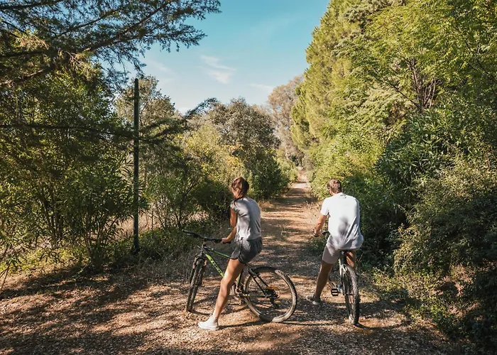 Отель Fonte Santa Монфортинью